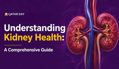 Understanding Kidney Health A Comprehensive Guide